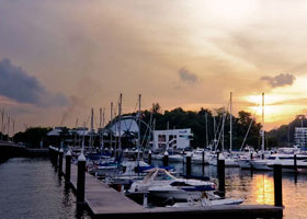 网络ddos监测分析工具