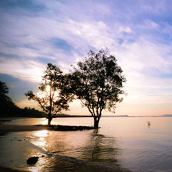 发卡平台便宜的网络ddos攻击软件